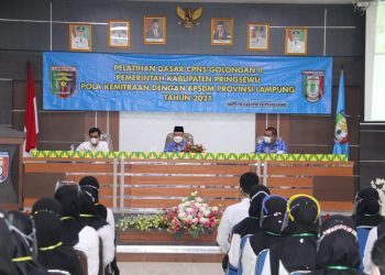 CPNS Pemkab Pringsewu