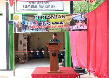 Lumbung Pangan Gapoktan