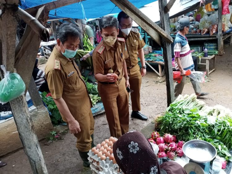 Tim Pemda Pringsewu