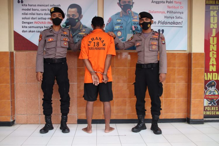 Nestapa Bunga Korban Syahwat