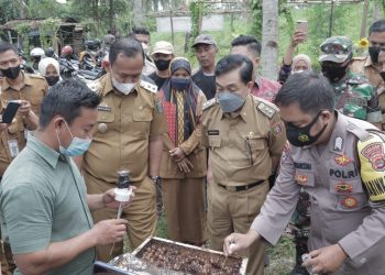 Omah Tawon Mataram, pringsewu.lappung.com