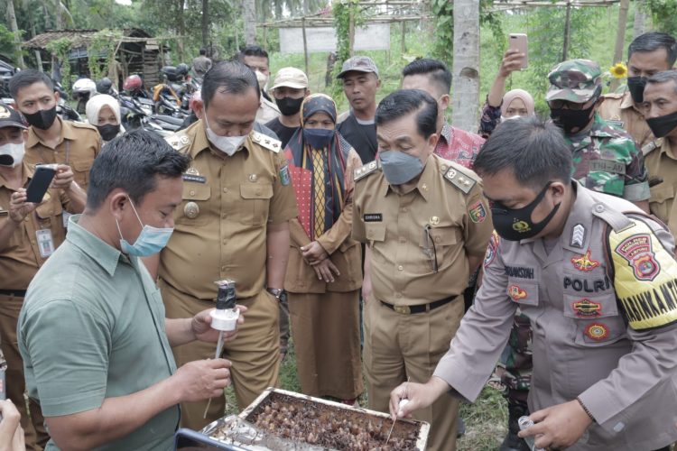 Omah Tawon Mataram, pringsewu.lappung.com