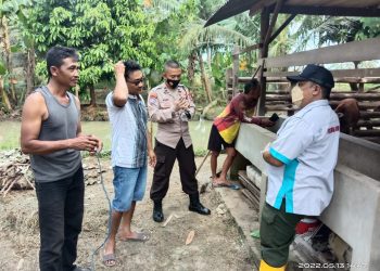 Penyakit Mulut dan Kaki