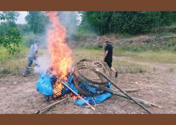 Sabung Ayam di Pekon Karangsari