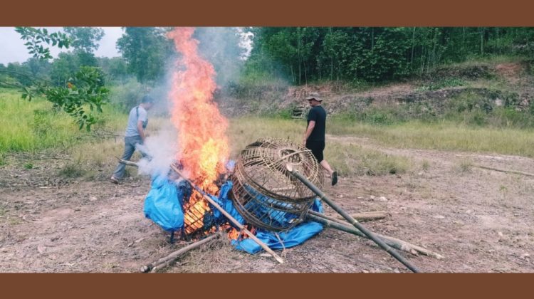 Sabung Ayam di Pekon Karangsari