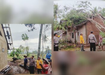 Angin Puting Beliung di Pekon Kresnomulyo