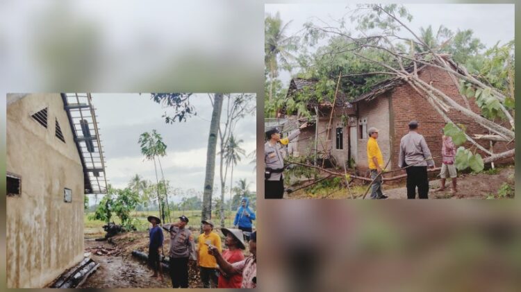 Angin Puting Beliung di Pekon Kresnomulyo