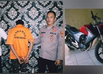 Curanmor di Pekon Madaraya