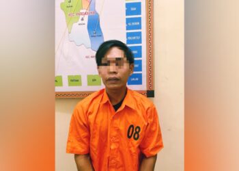 Mencuri Gabah di Pardasuka