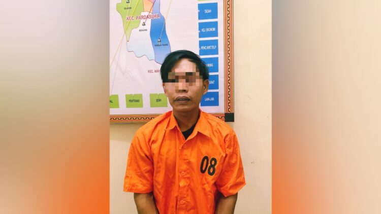 Mencuri Gabah di Pardasuka