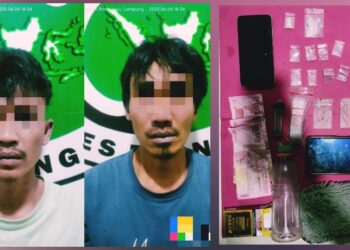 Bandar dan Pemakai Sabu Diringkus Satnarkoba Polres Pringsewu